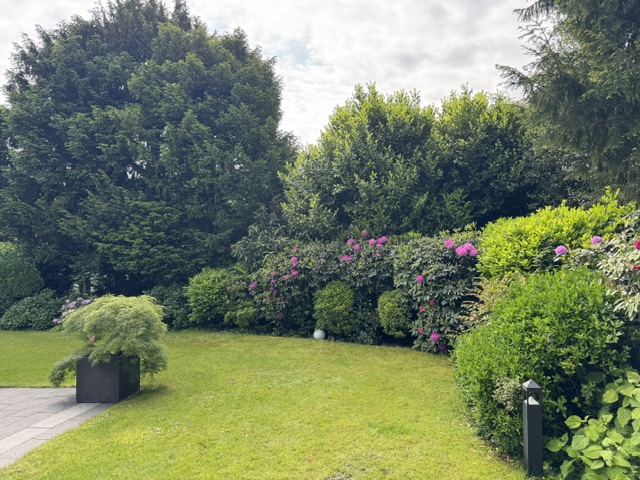 Garten Einfamilienhaus Essen
