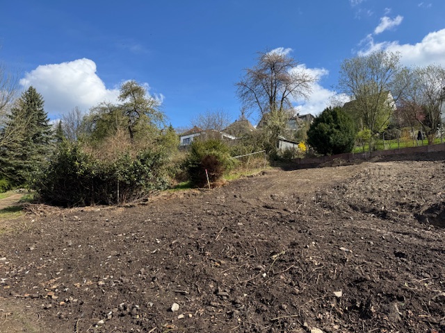 Grundst�ck Essen Wohngrundst�ck E.-Kupferdreh in Toplage, 4 Baugrundst�cke mit positivem Bauvorbescheid f�r gro�z�gige DHH